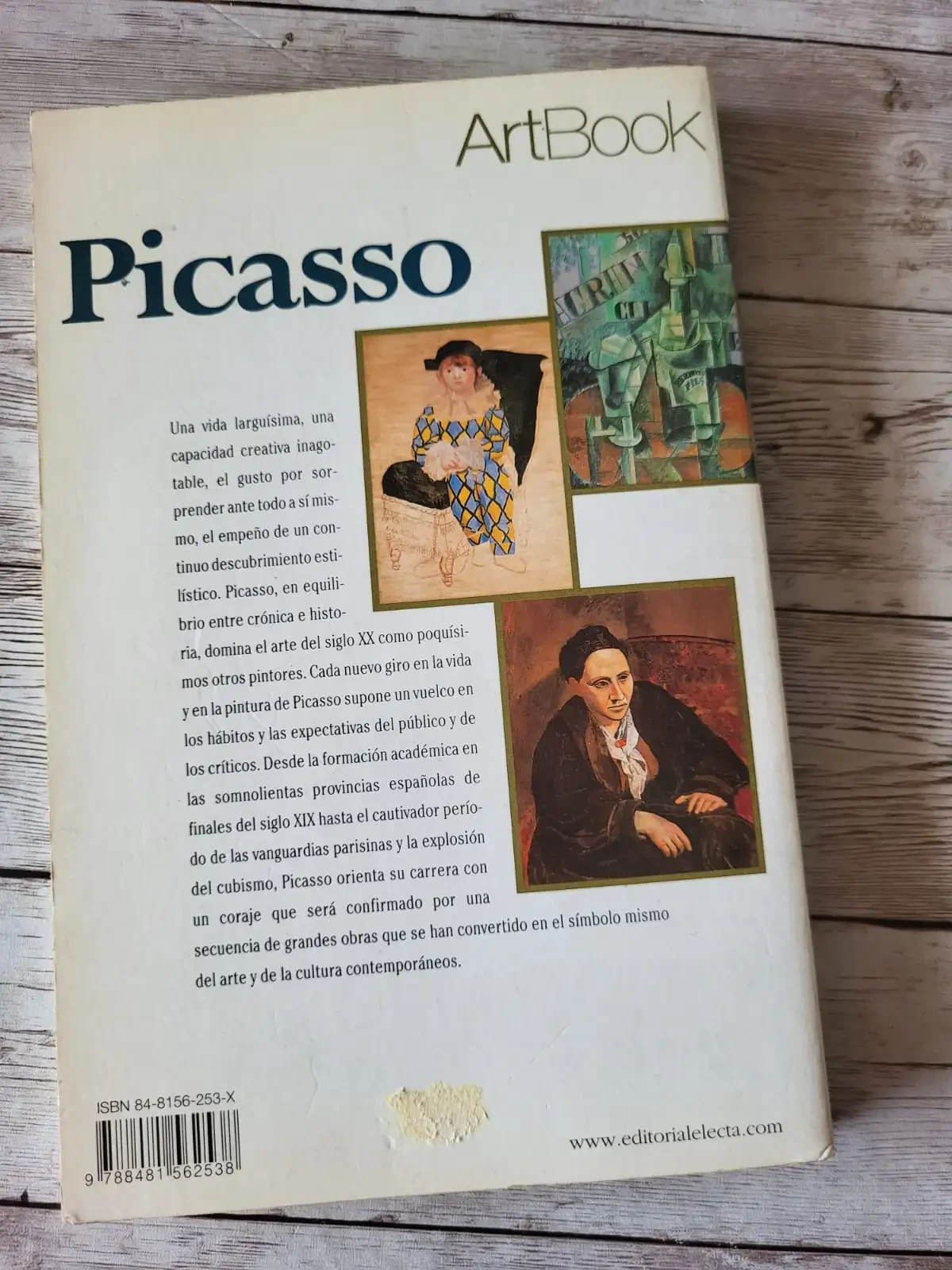 Picasso / Art Book /Arte 2