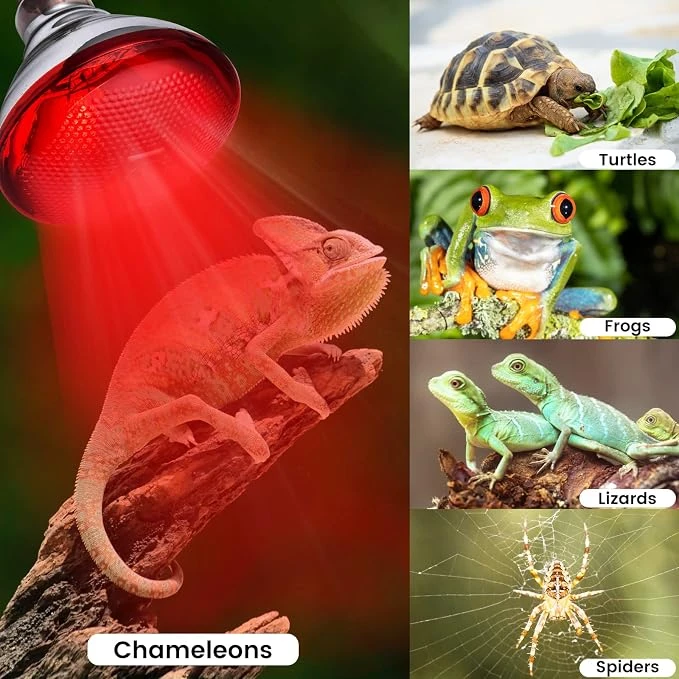 Foco Infrarojo 25w para Reptiles Exoticos Nd-21 3