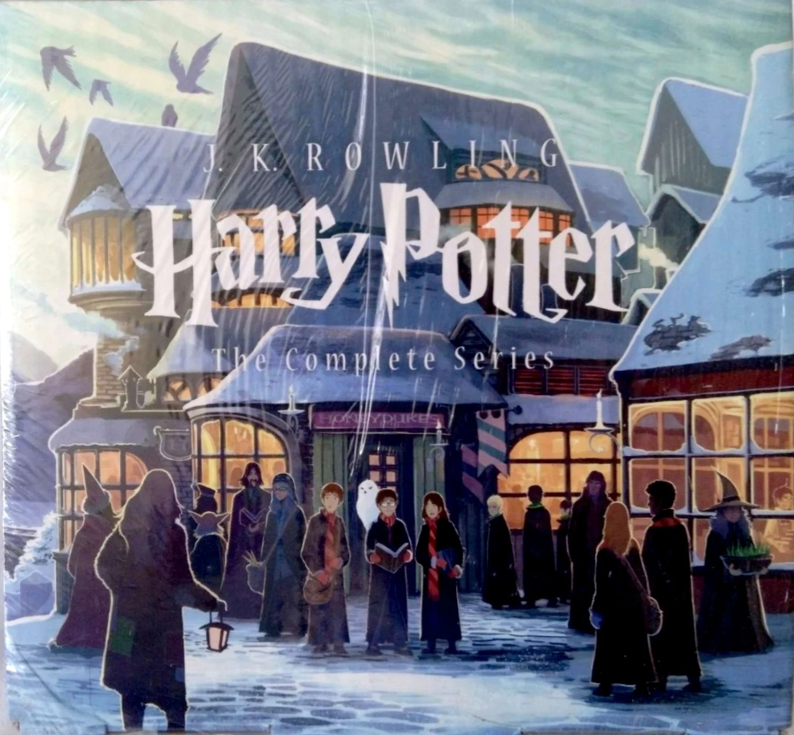 CAJA HARRY POTTER EDICION ESPECIAL CASTILLO 