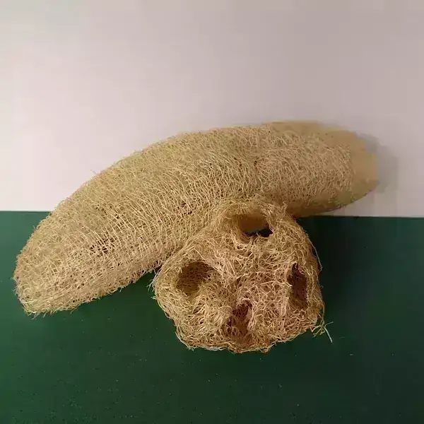 Esponja Vegetal (consultar stock)