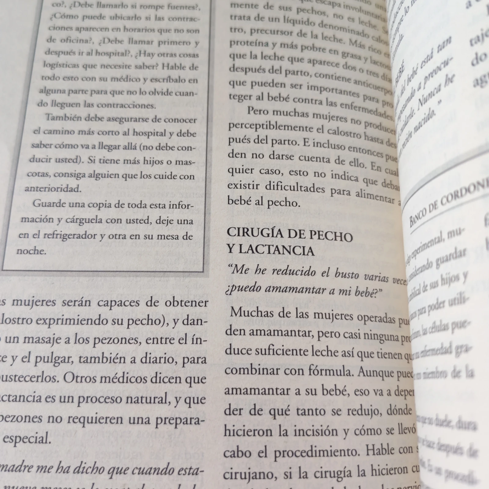 Que esperar cuando se esta esperando, Heidi Murkoff, usado 3