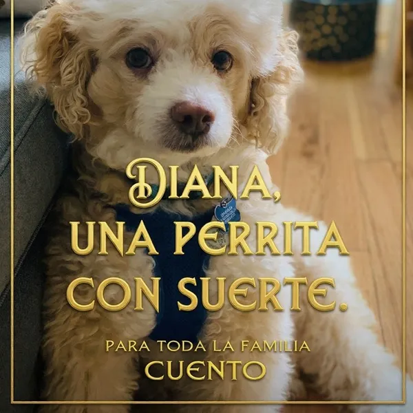 Cuento a Granel LSO 14