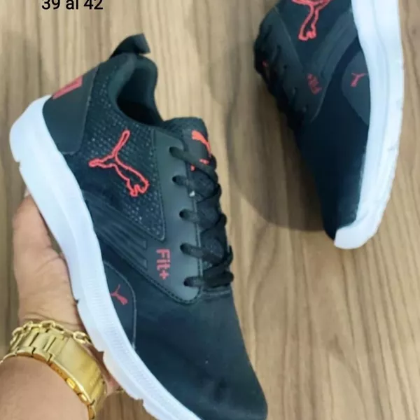 Puma  2