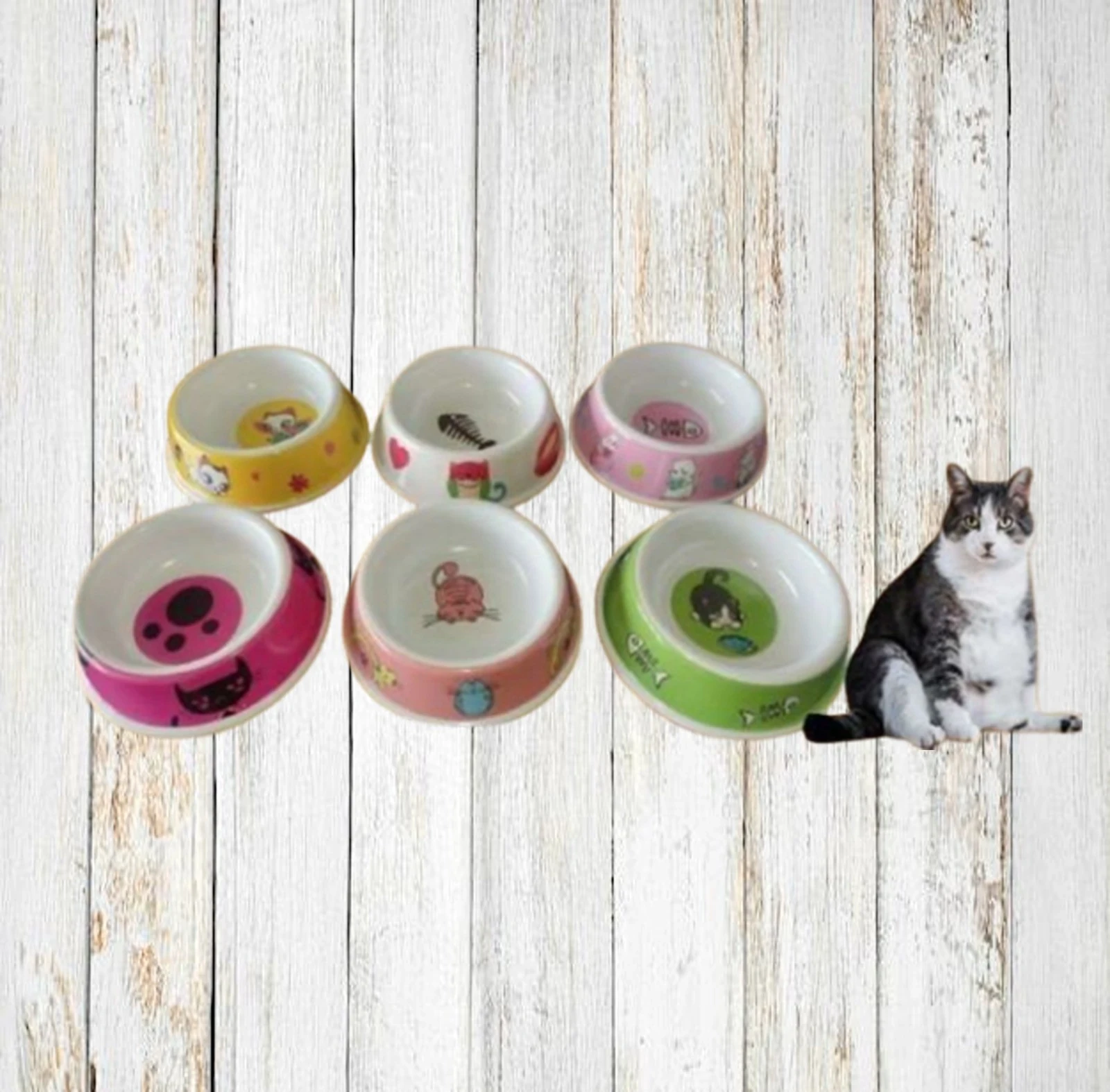 PLATO MELAMINA GATO 