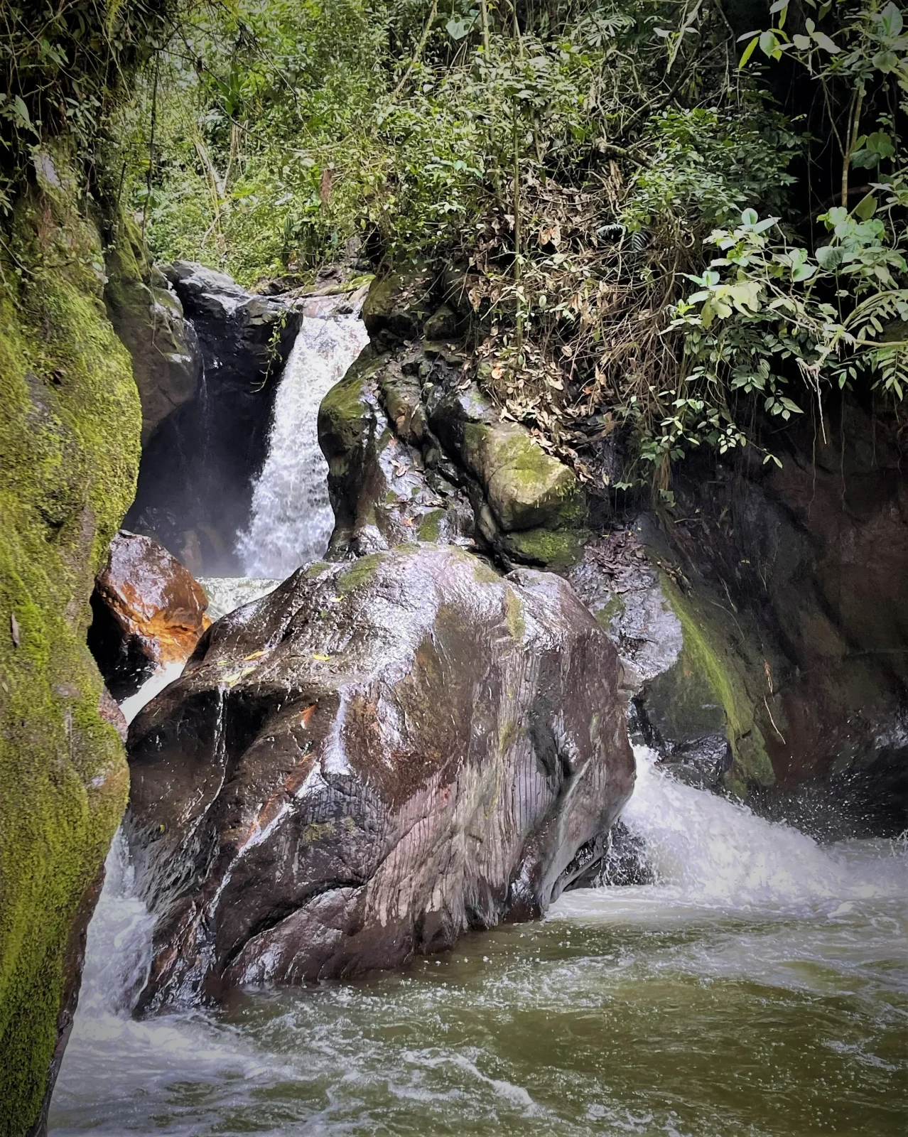 JARDIN ECOLÓGICO Y RURAL 6