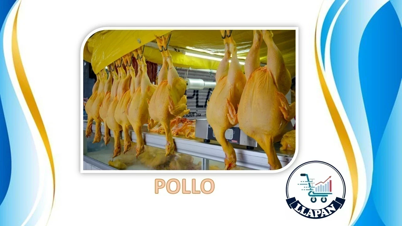 POLLO