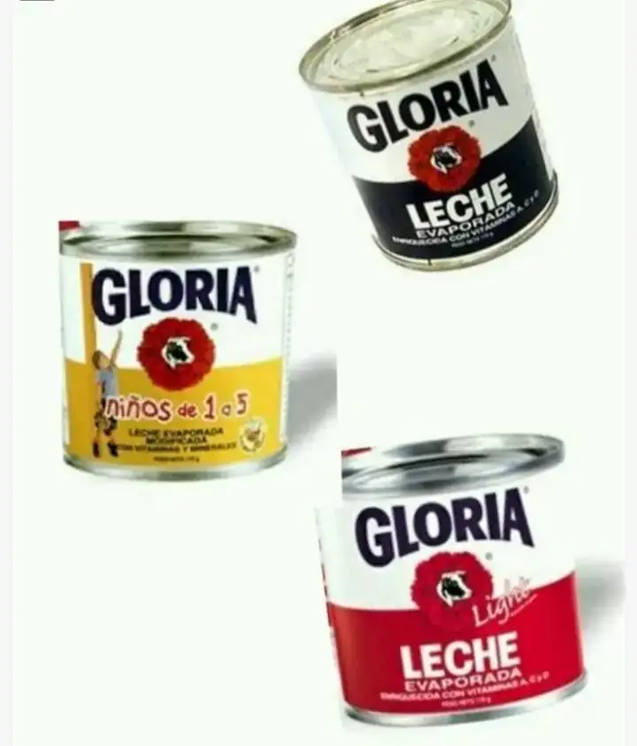 Leche gloria 170g