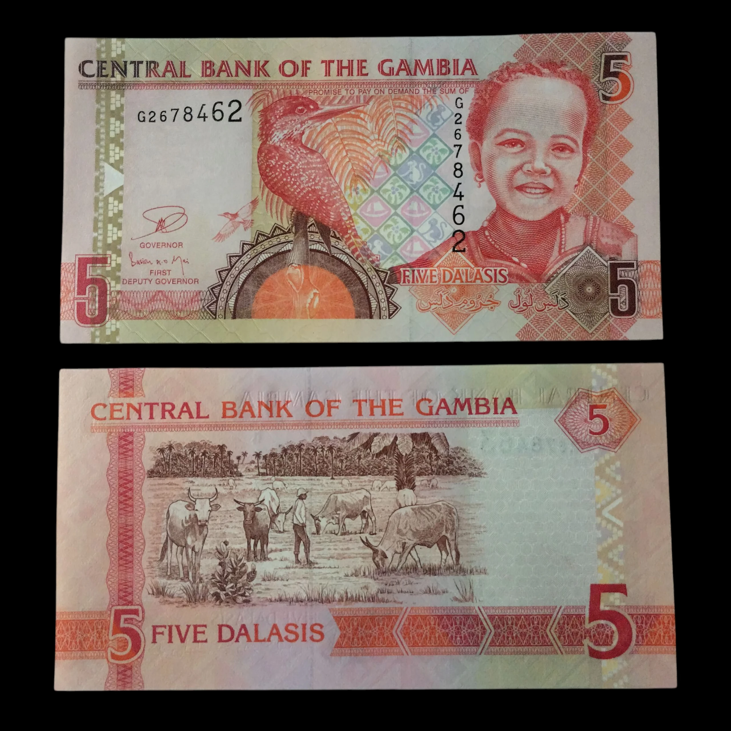 • Gambia 5 dalasis UNC