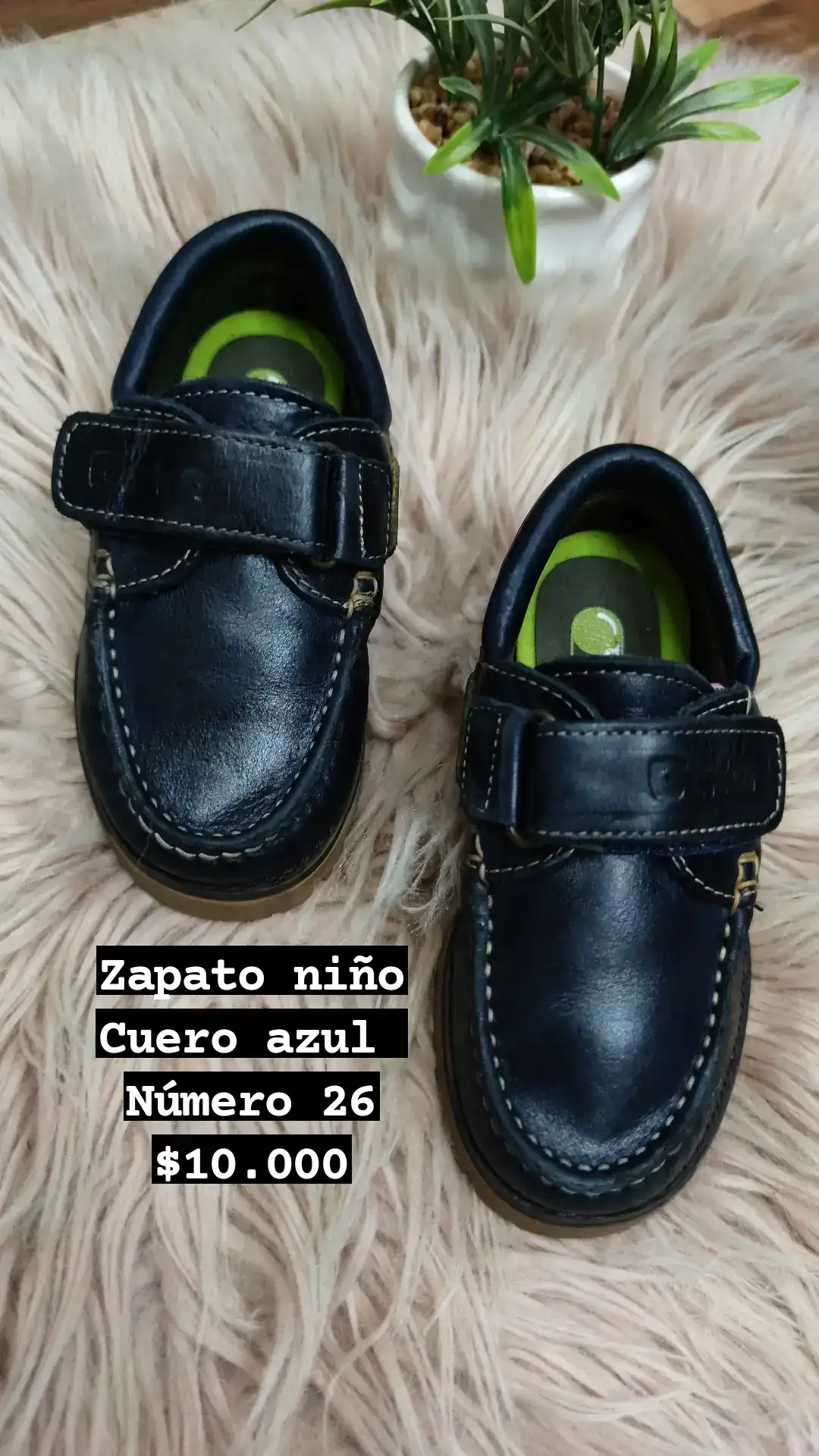 Zapato numero 26 