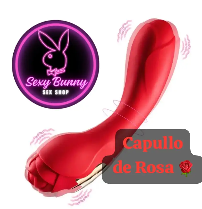 Capullo de rosa