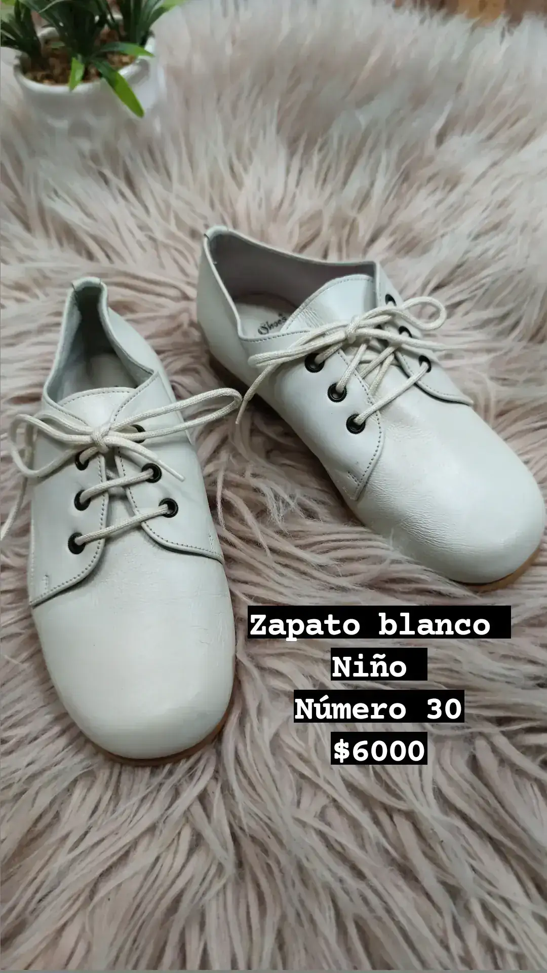 Zapato blanco  N°30