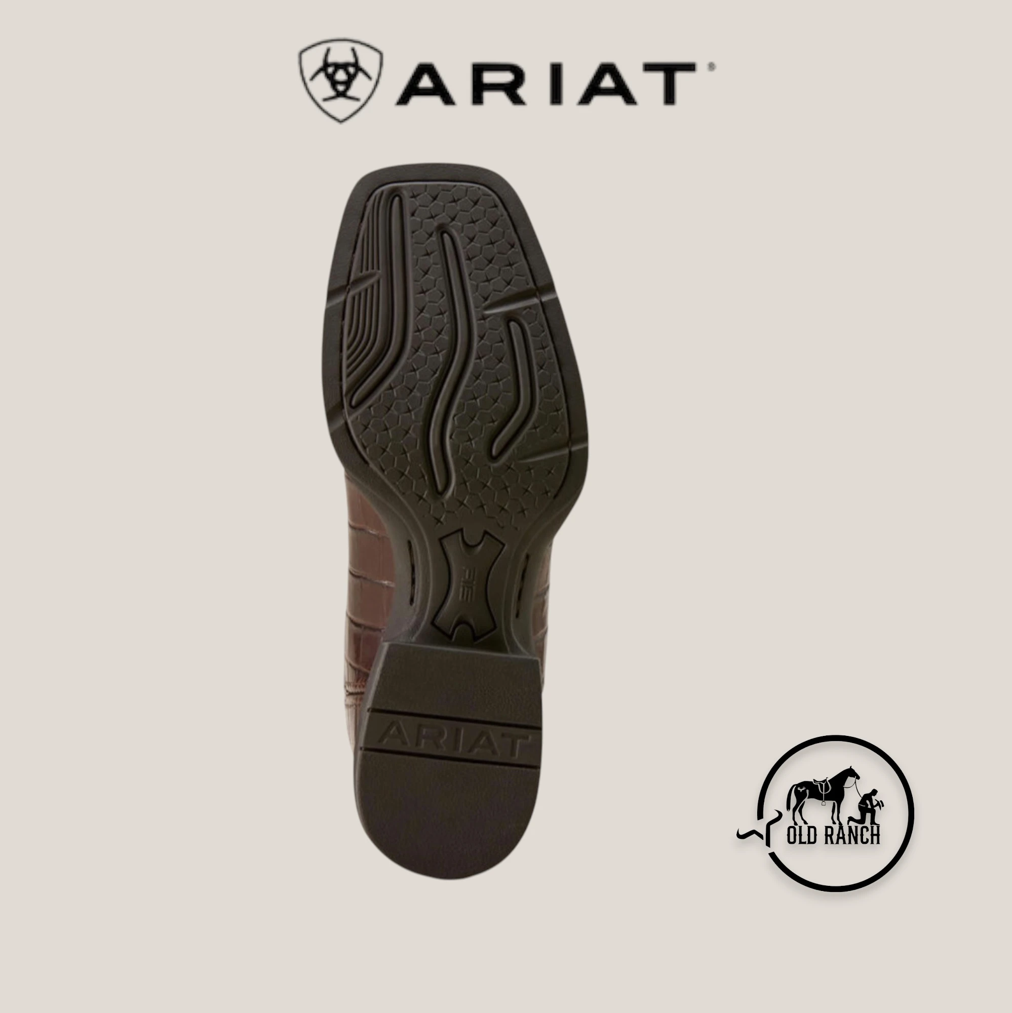 ARIAT 6