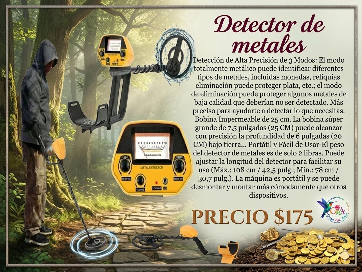 Detector de metales 