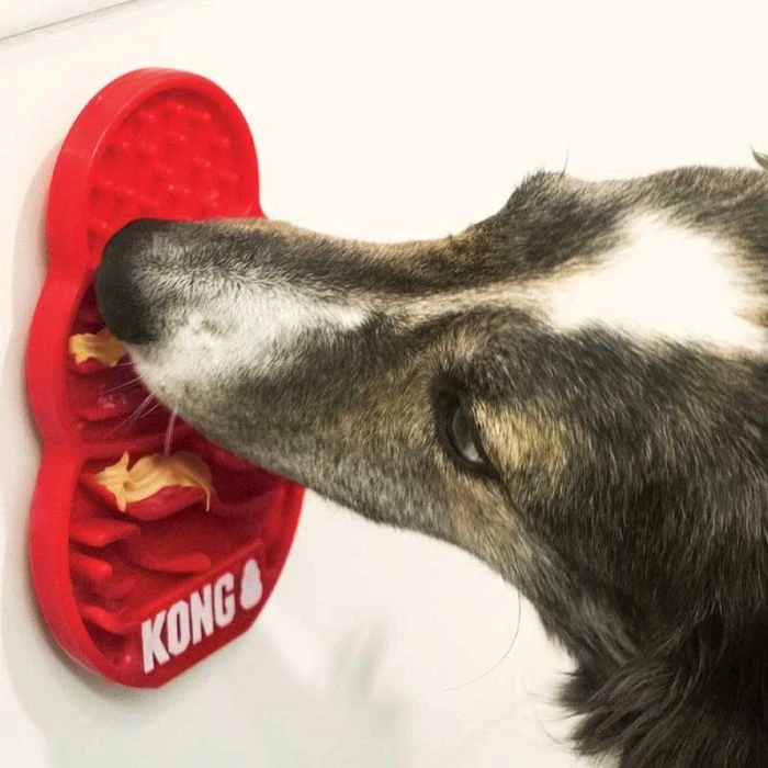 KONG Licks Small 2