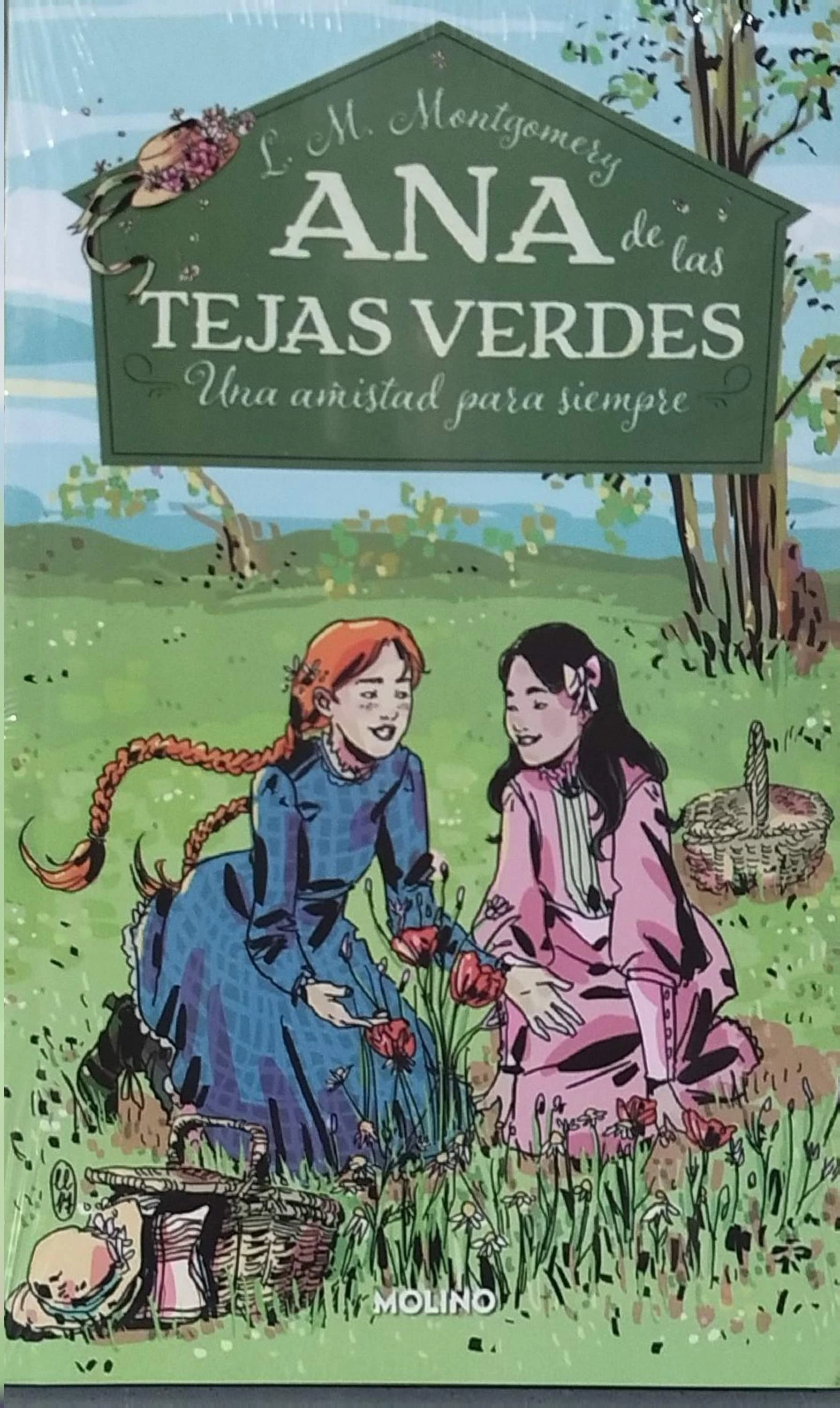 UNA AMISTAD PARA SIEMPRE ANA DE LAS TEJAS VERDES 