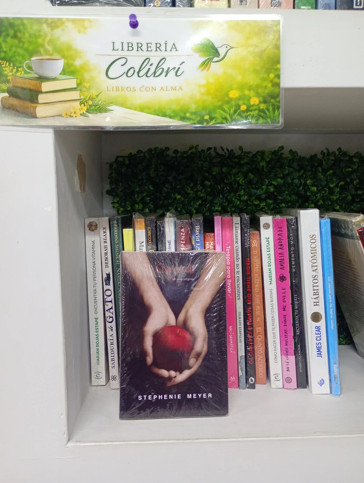 Crepusculo