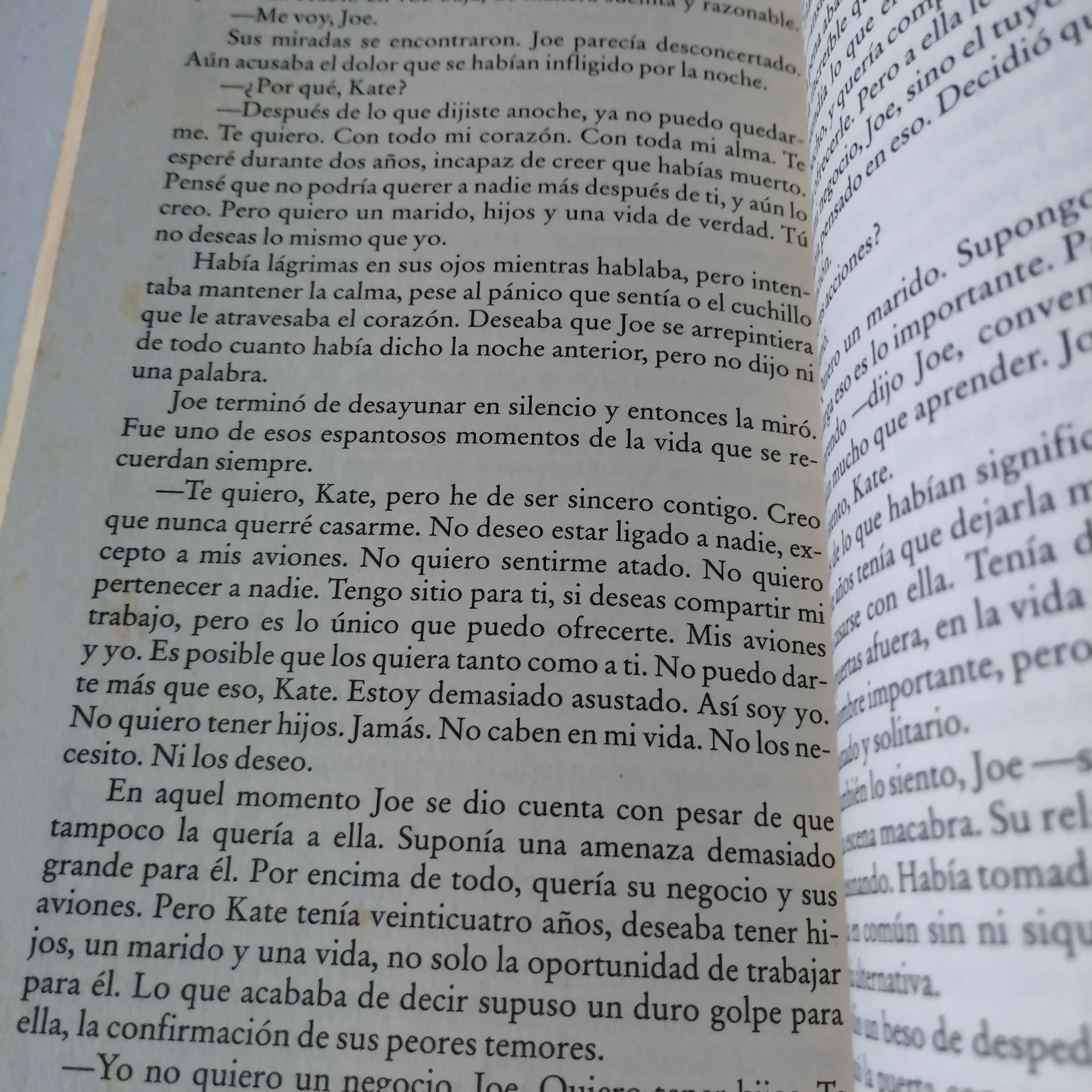 Águila solitaria, Danielle Steel, usado 3