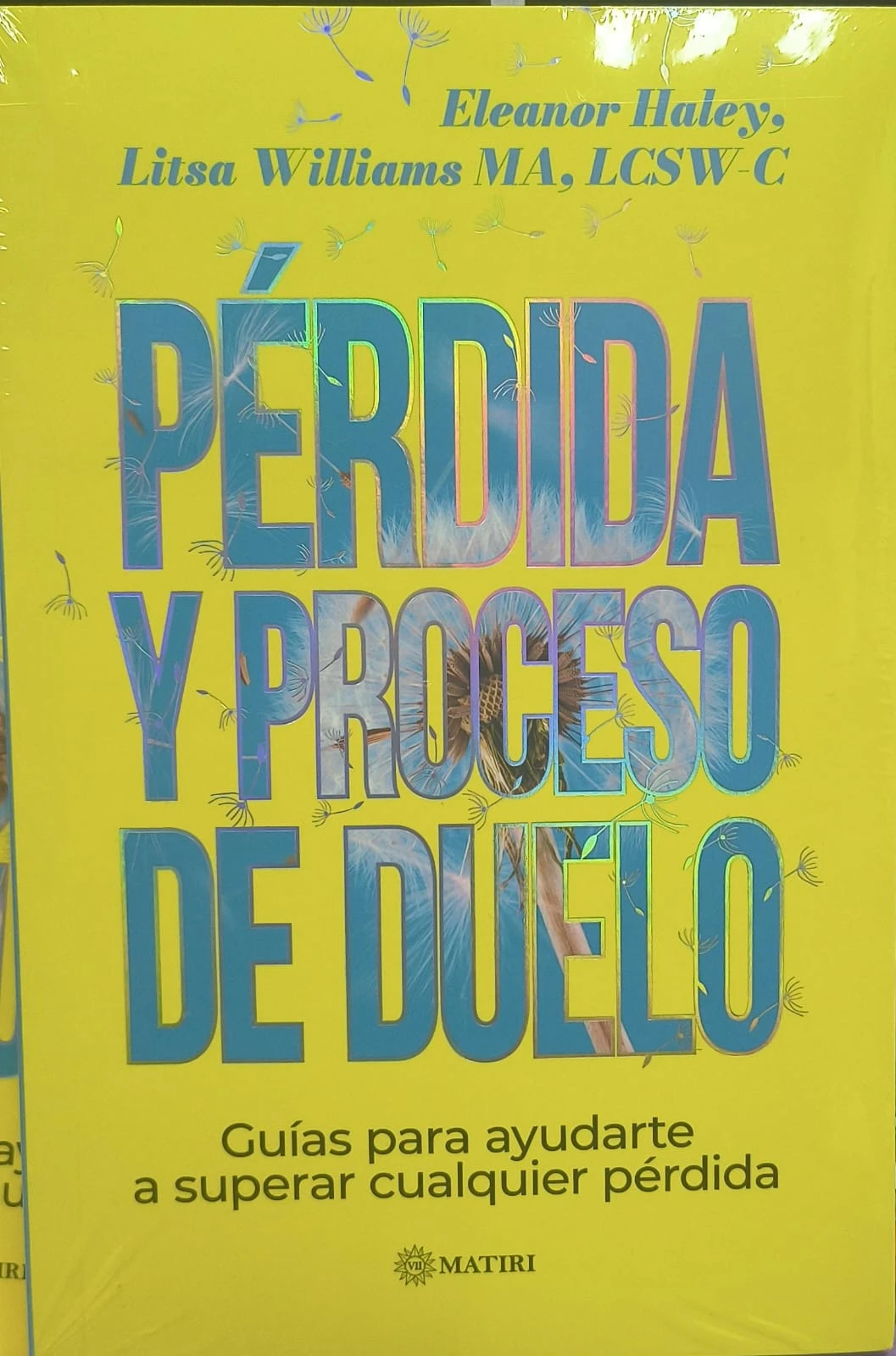 MT PERDIDA Y PROCESO DEL DUELO 