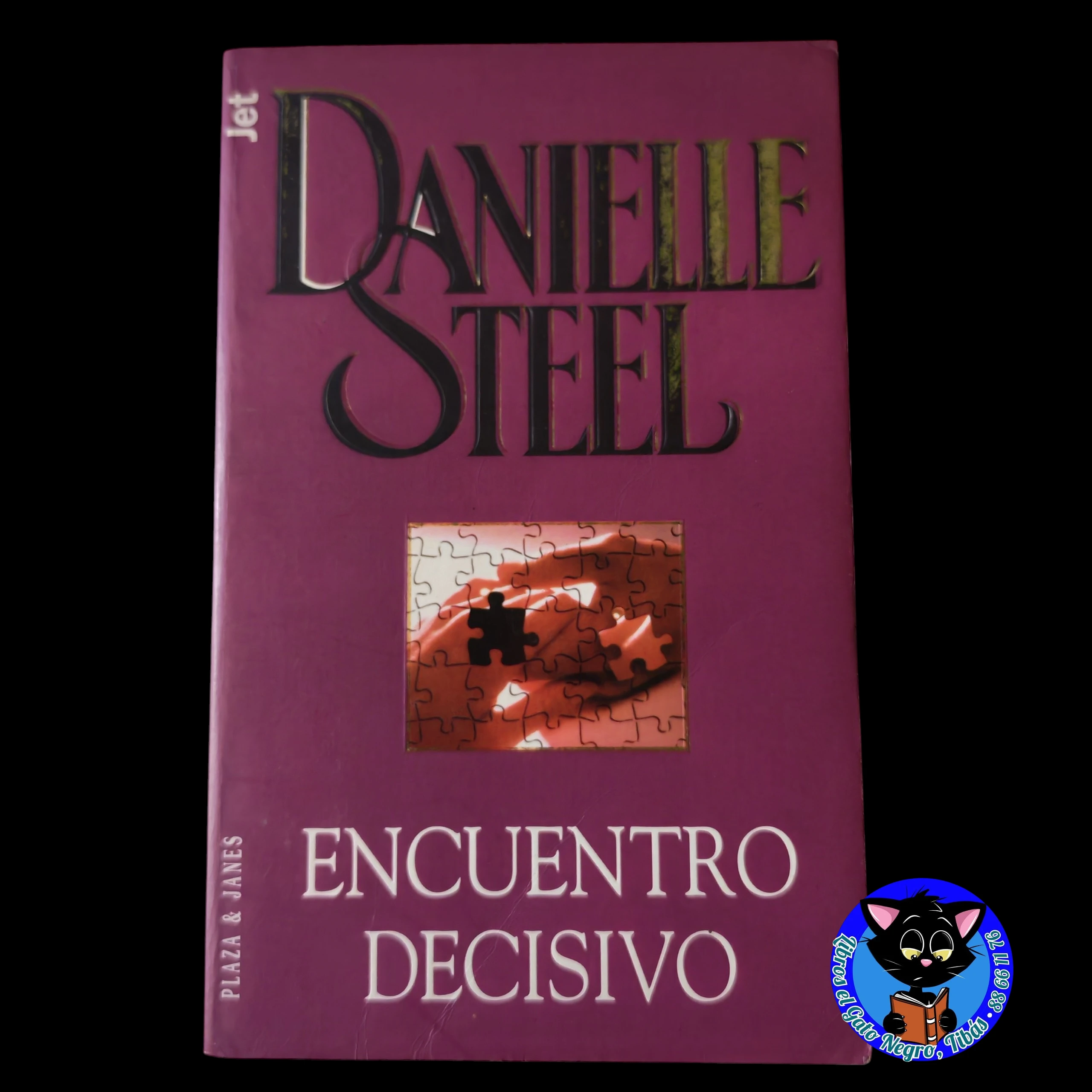 Encuentro decisivo, Danielle Steel, usado