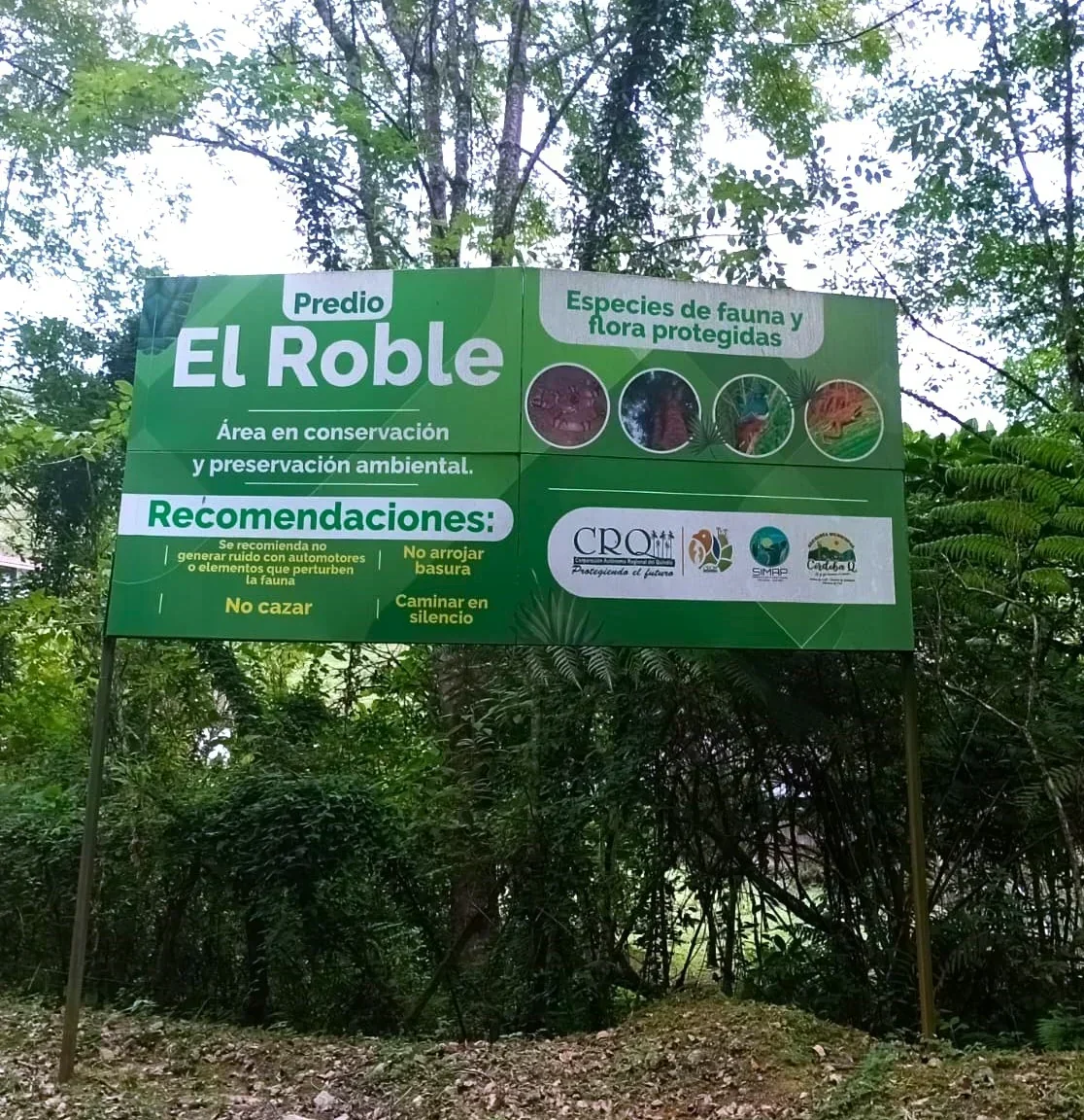 CORDOBA - PIJAO Y PÁRAMO DEL CHILÍ - QUINDÍO 4