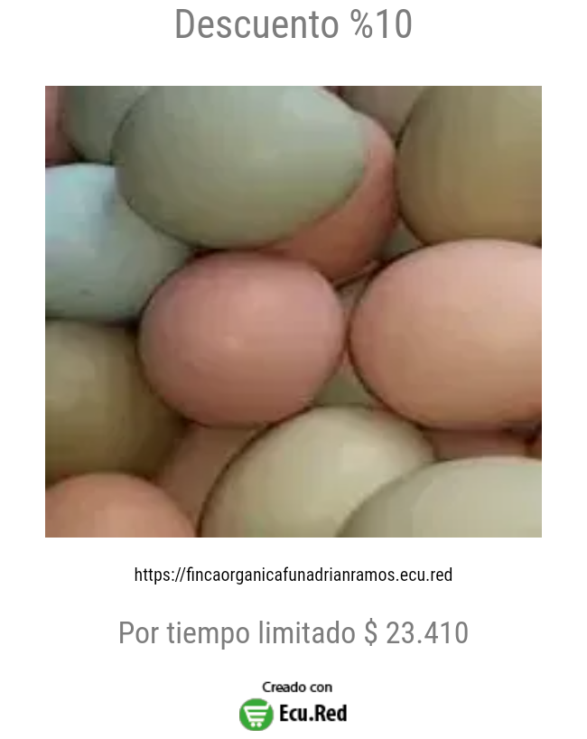 Descuento %10