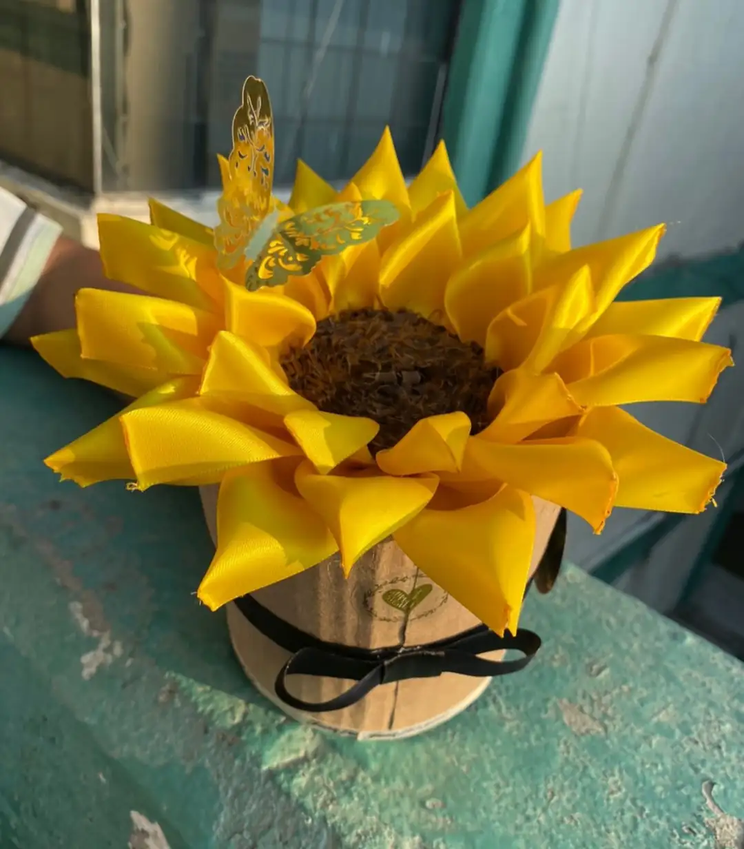 CAJA GIRASOL ENTERNO 3