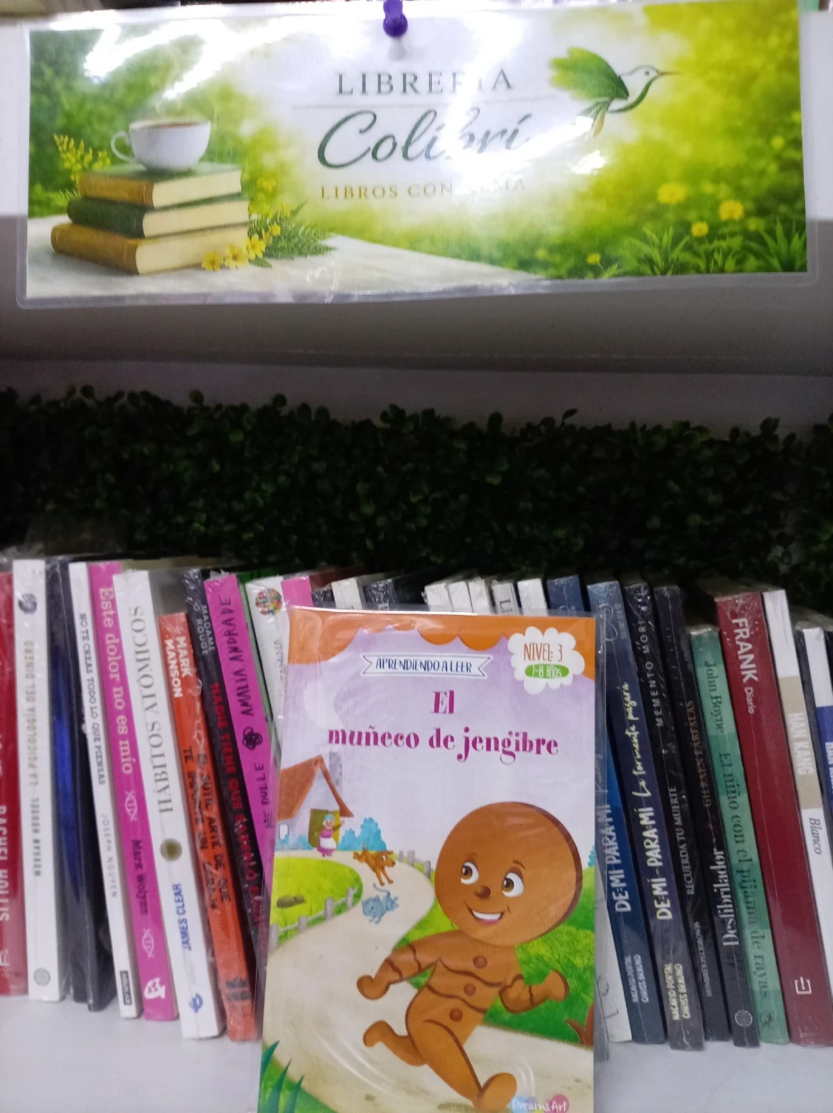 El muñeco de jengibre