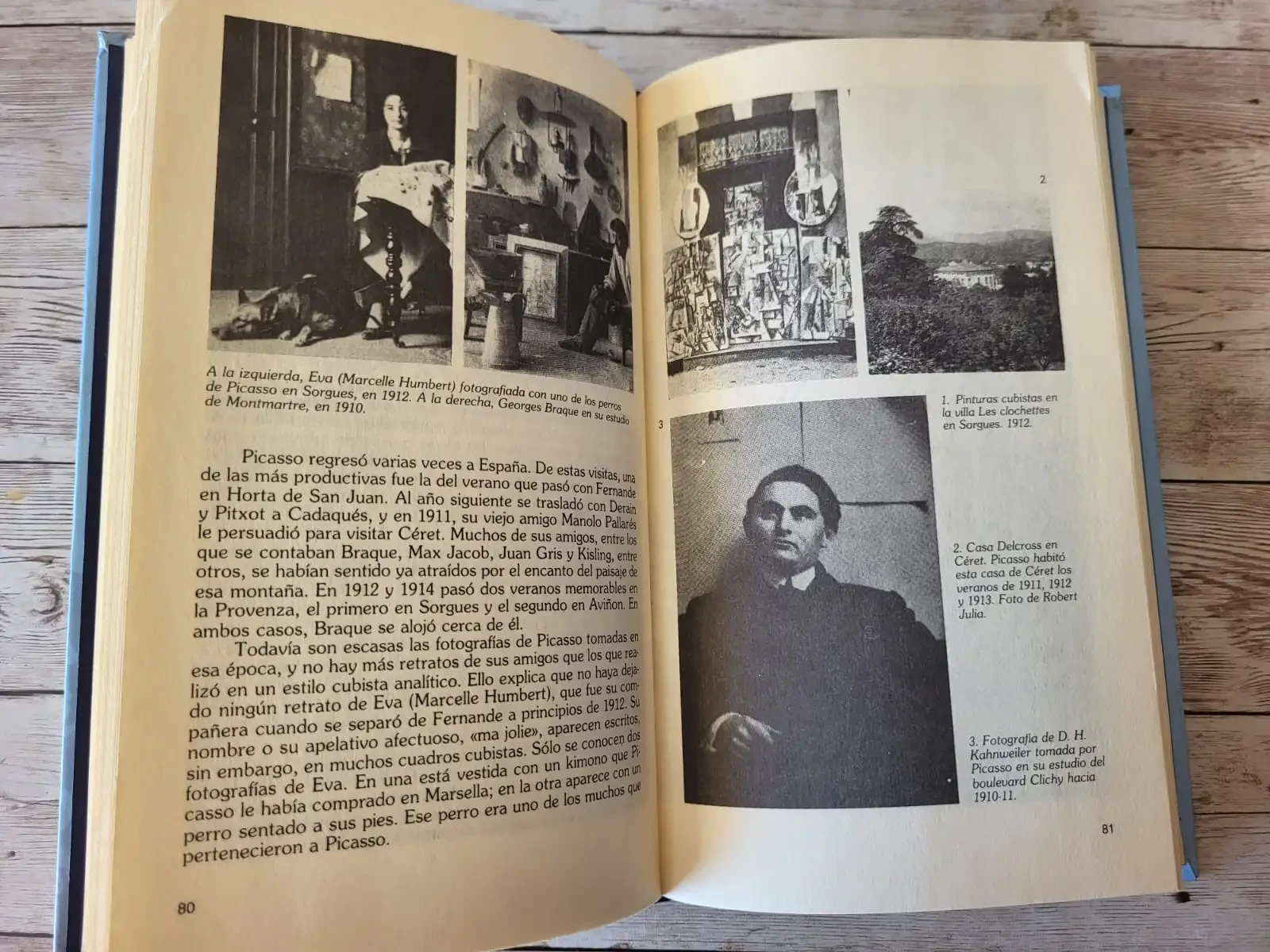 Picasso / Roland Penrose /Arte 4