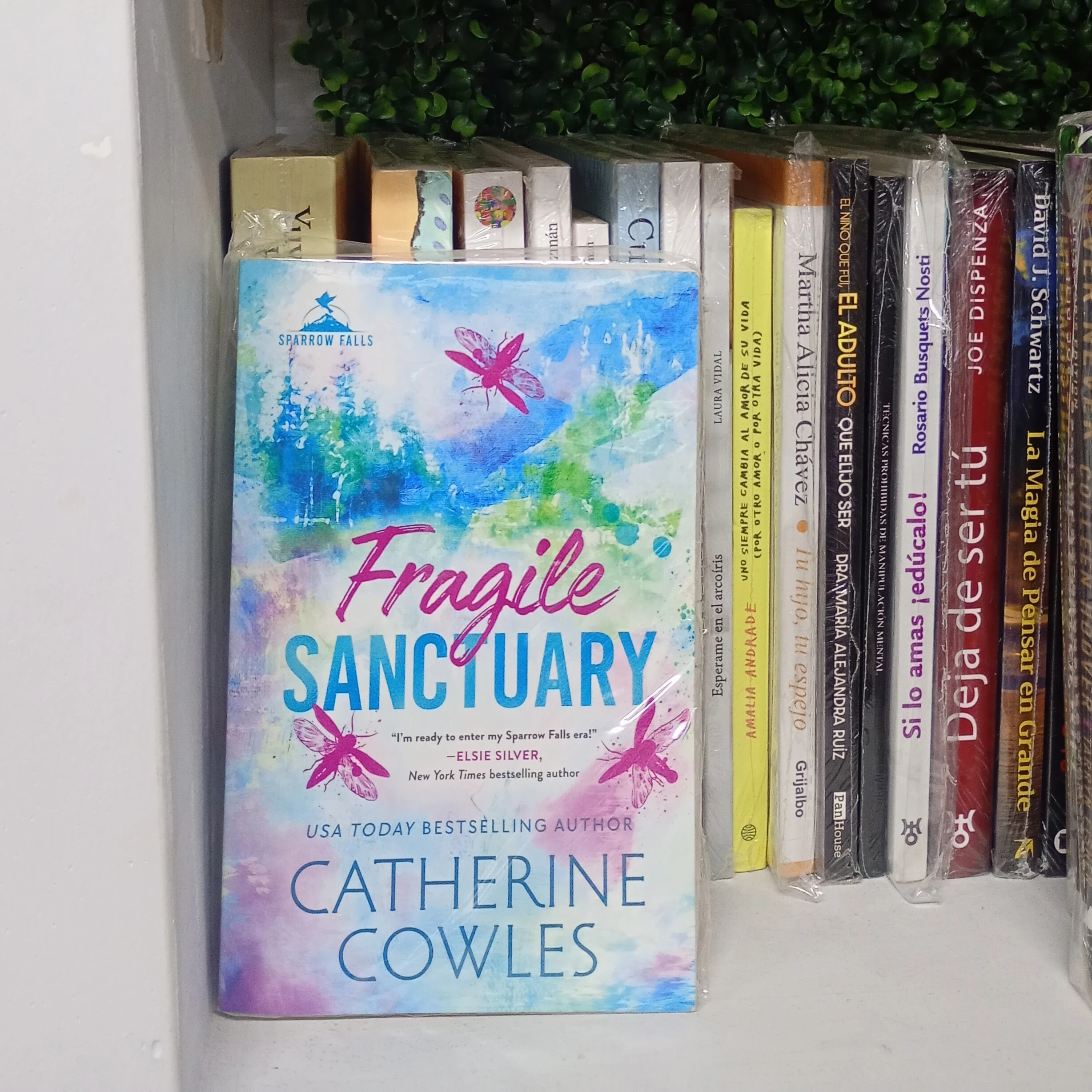 Fragile Sanctuary