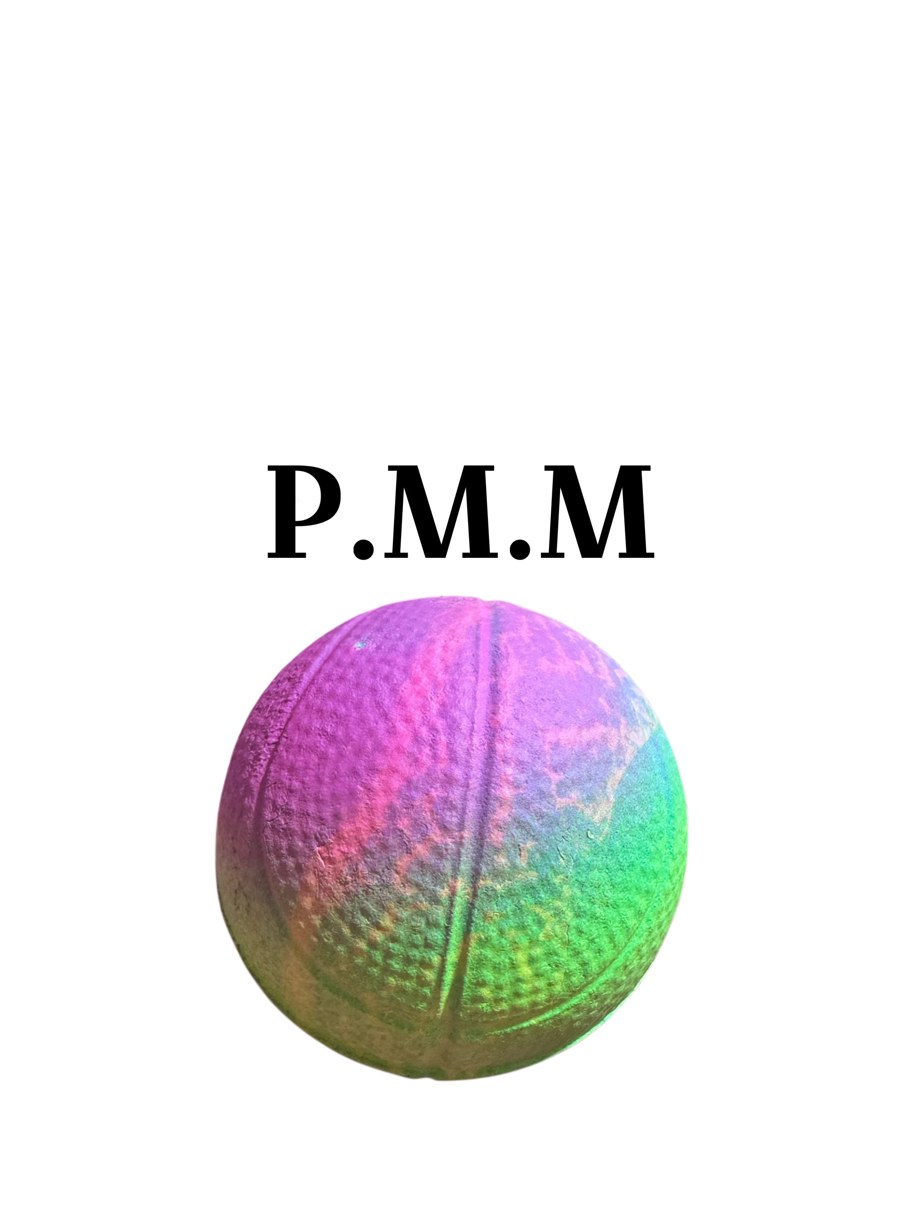 Pelota Mordillo mediana 