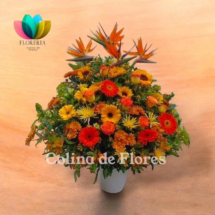 Mix primavera 