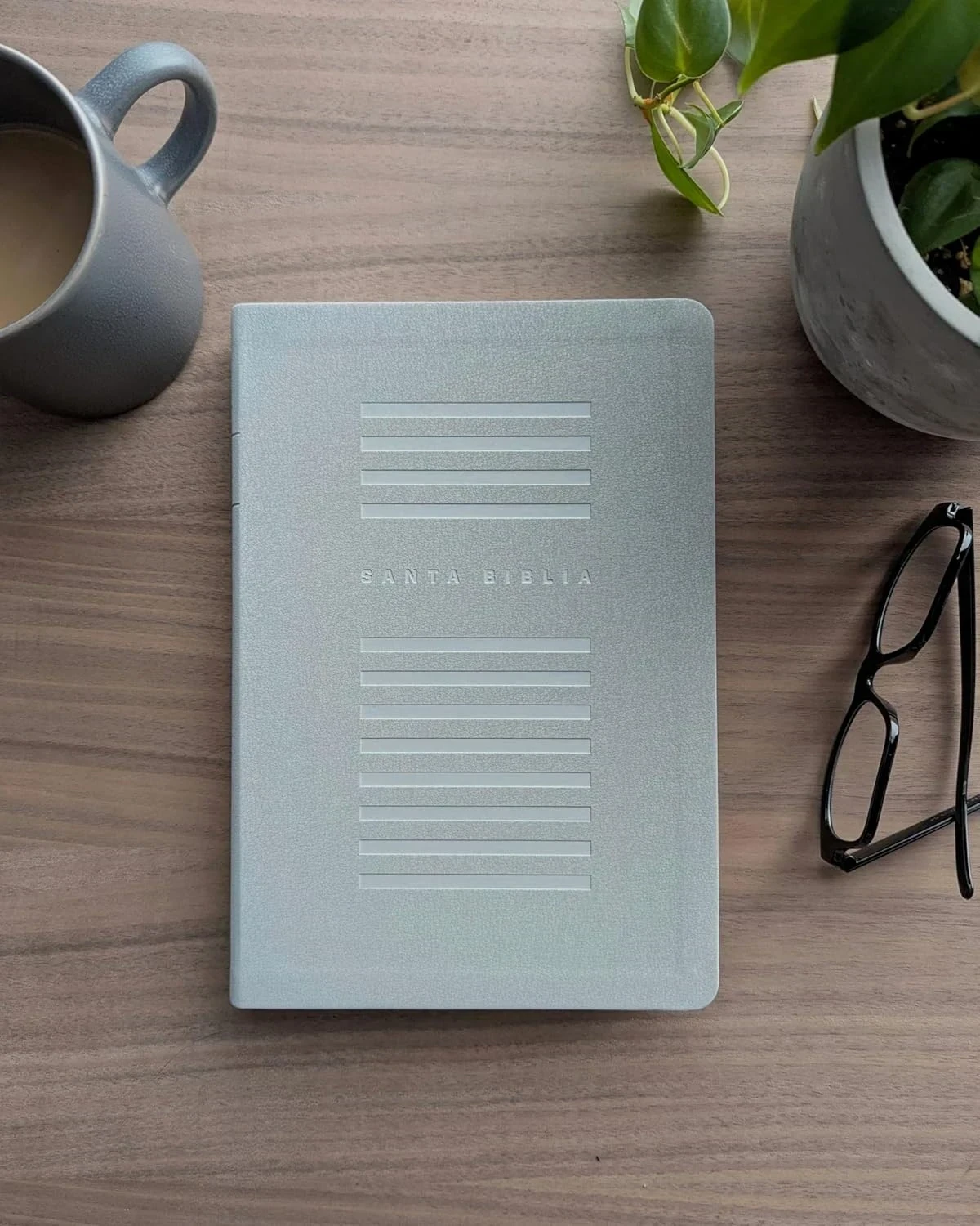 Biblia valor premium NTV letra grande sentipiel gris