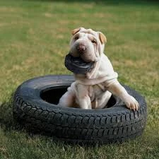 KONG EXTREME TYRES SM 3