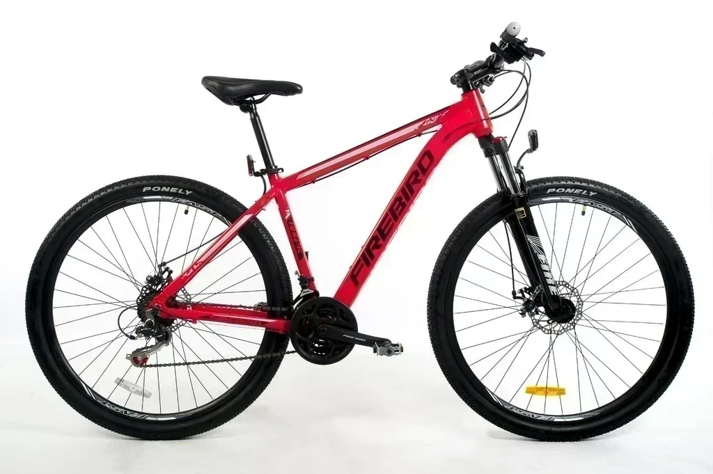 BICICLETA FIREBIRD 2