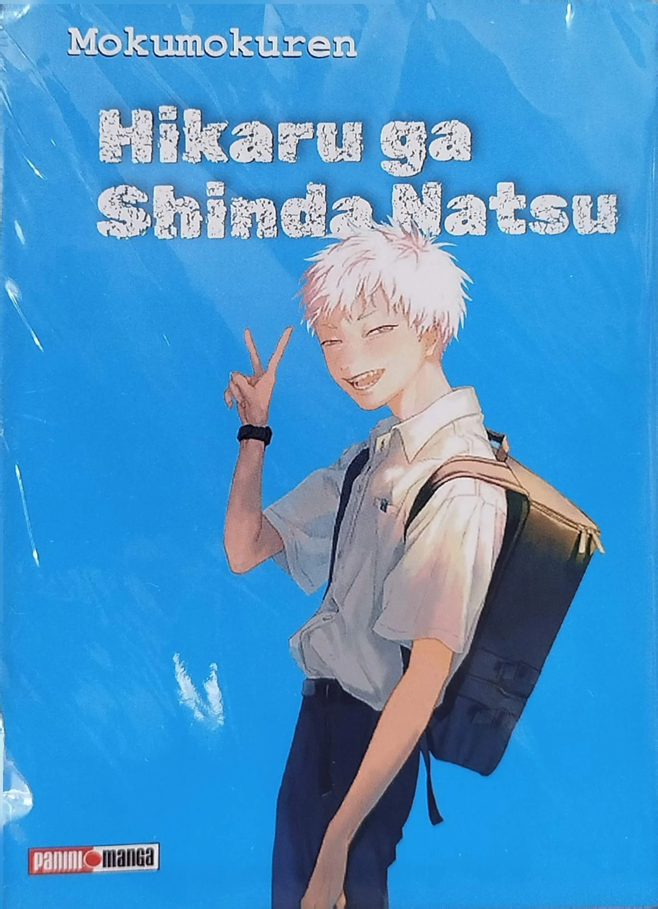 HIKARU GA SHINDA NATSU 