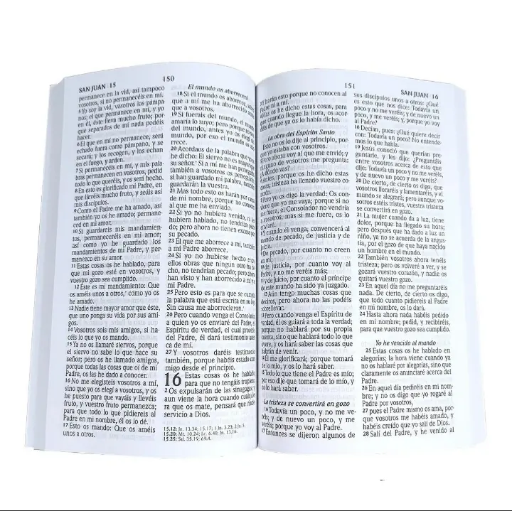Nuevo Testamento Letra grande RVR60 Leerlo 2