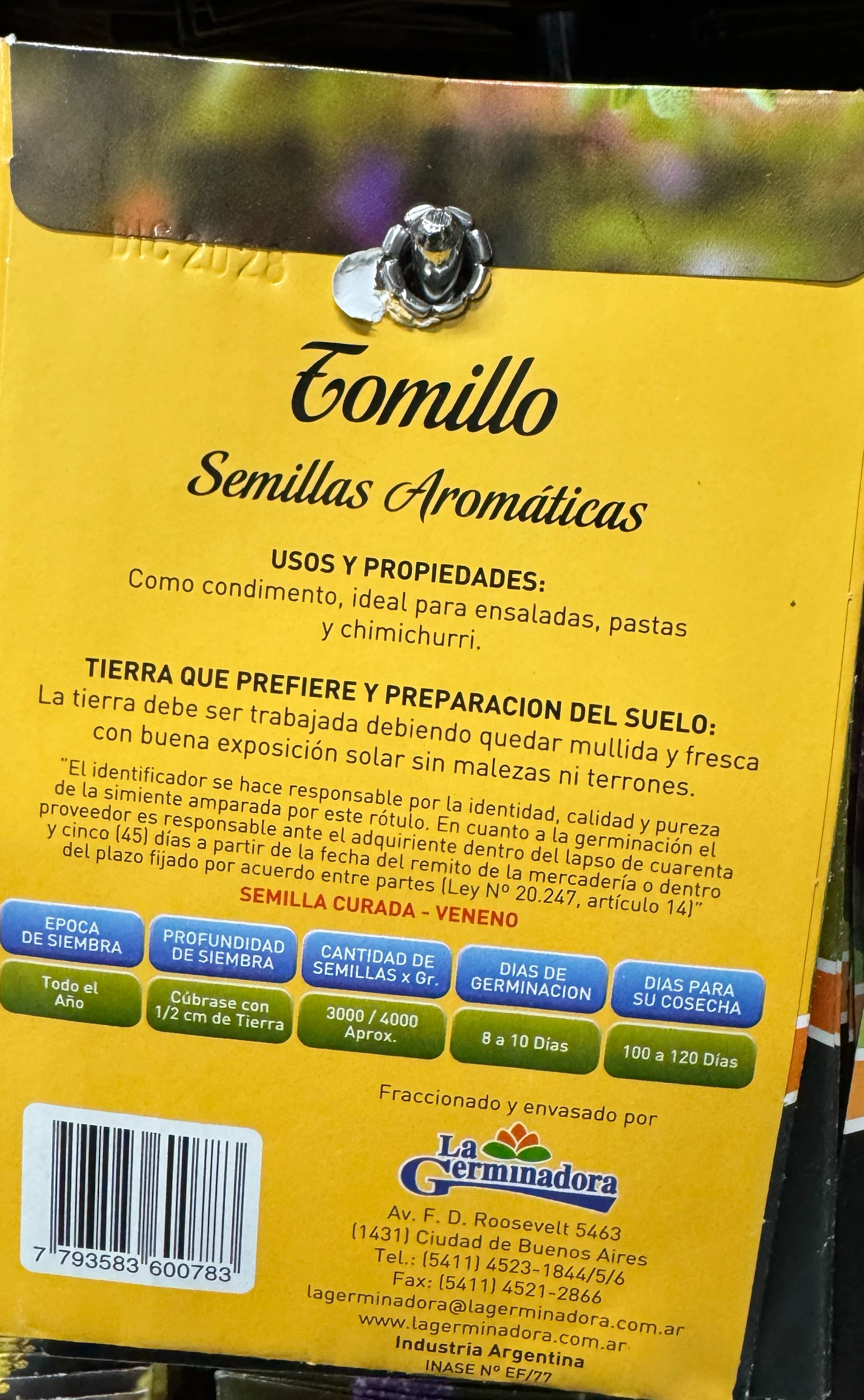 Semillas de TOMILLO  2