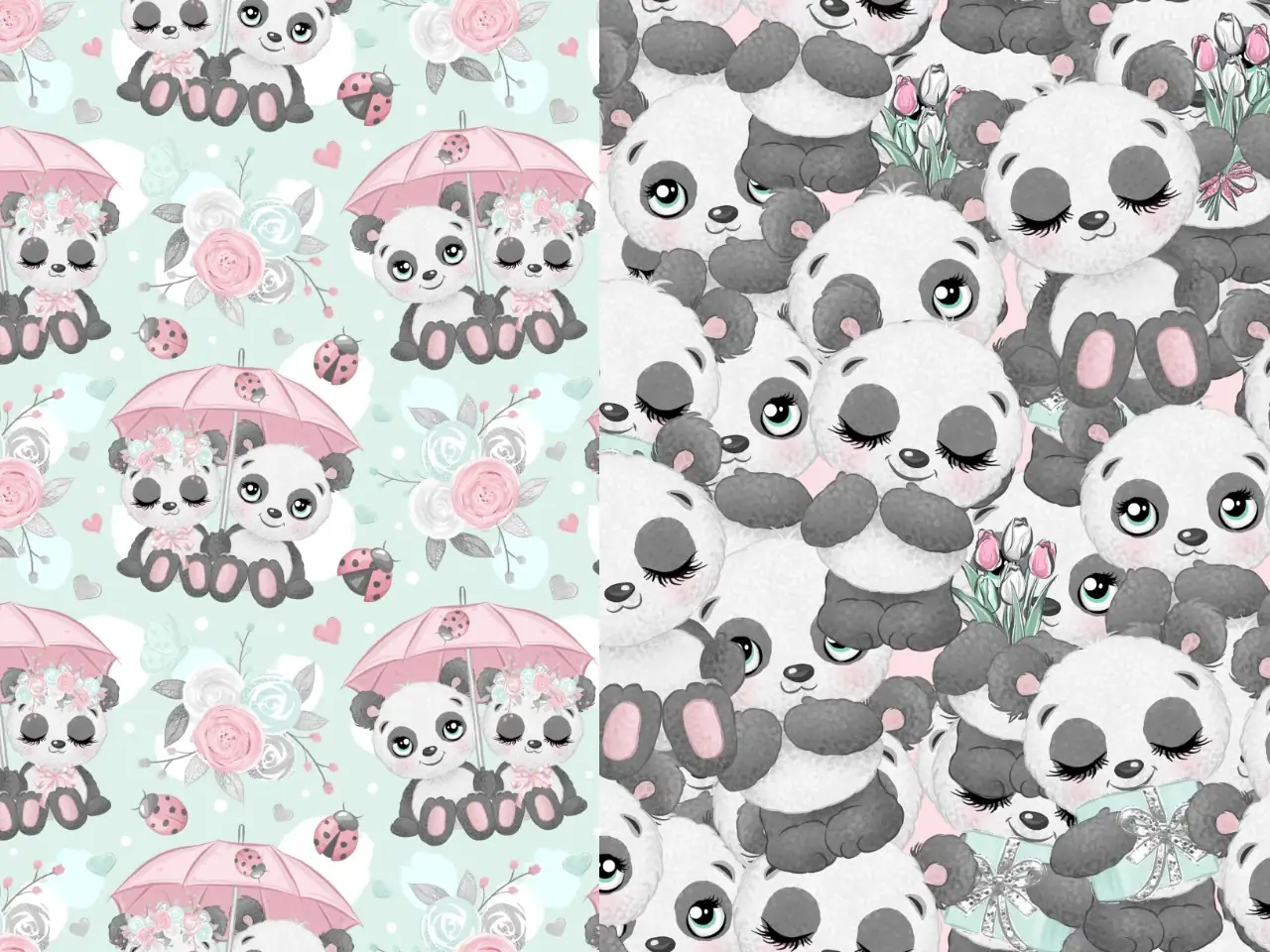 Oso panda 2