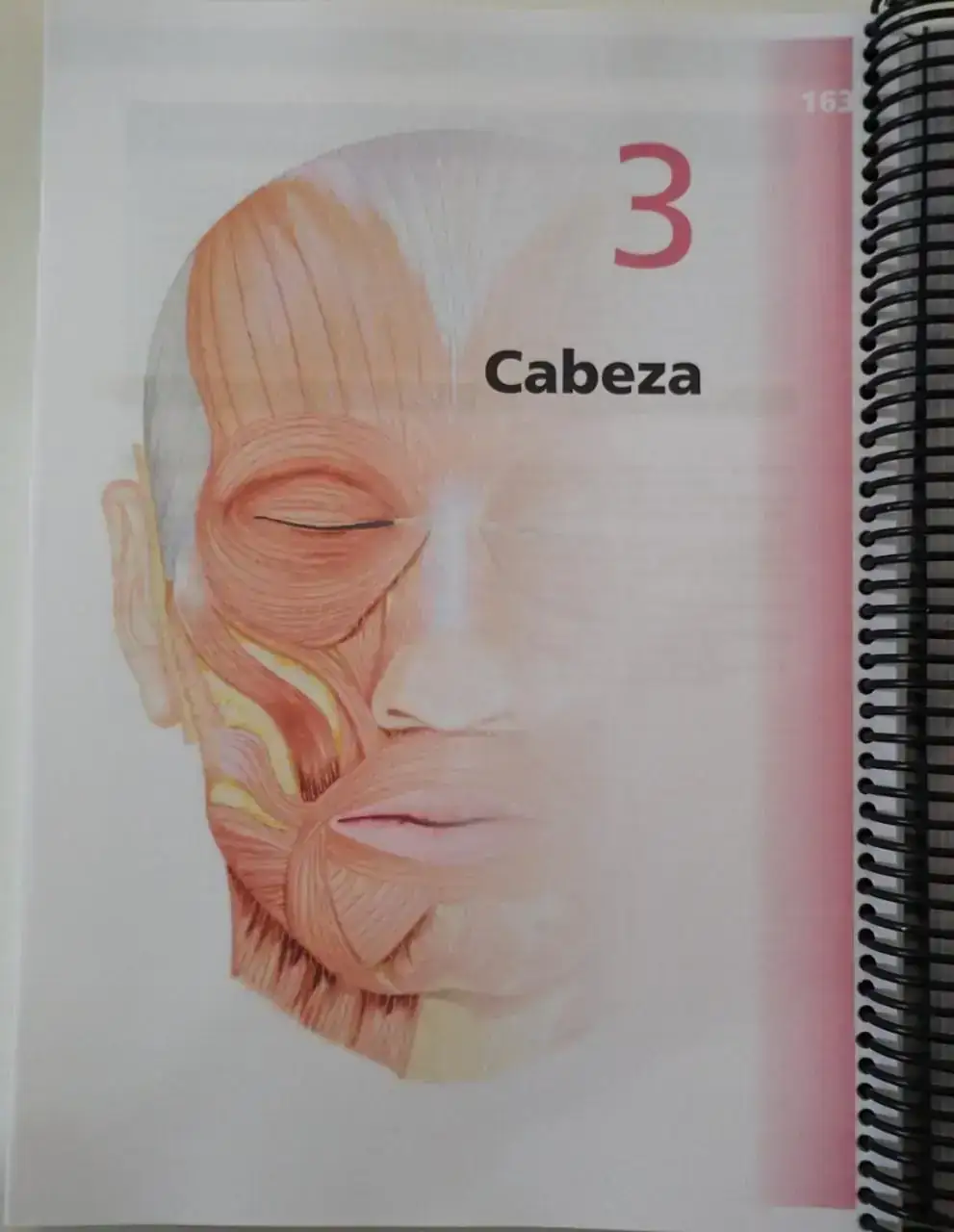 Pro Anatomia Clinica 2ª 2