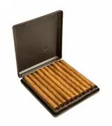 Panter Mignon Deluxe X20u 2