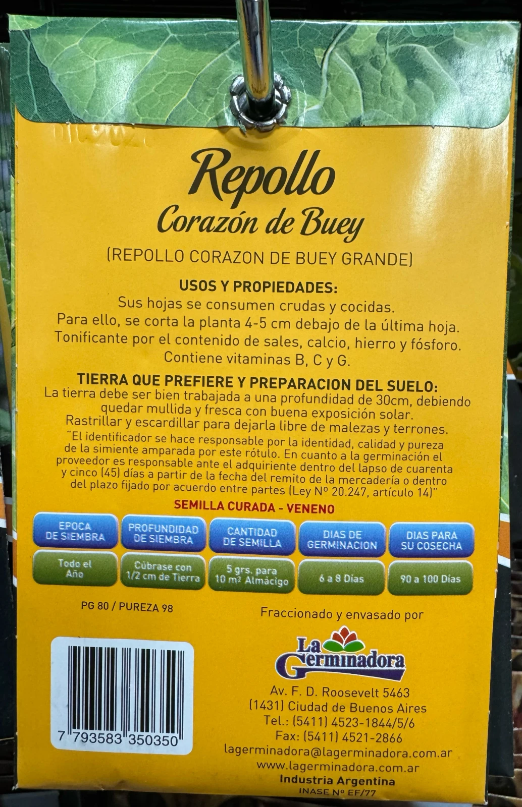Repollo Corazon de wey 2