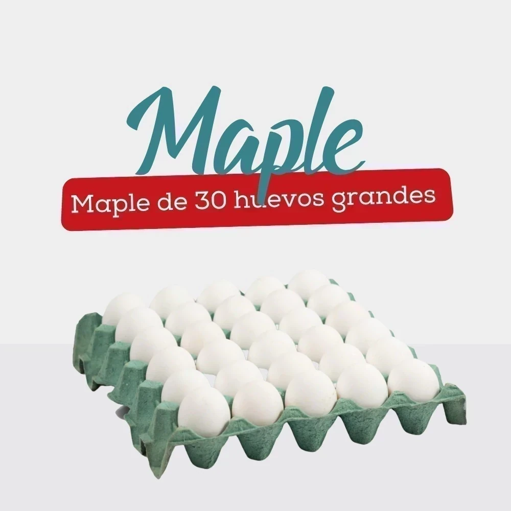   MAPLE HUEVOS grandes