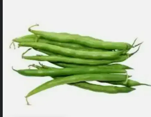 Ejote 
