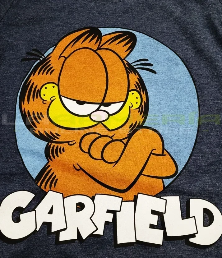 Garfield (M) 2