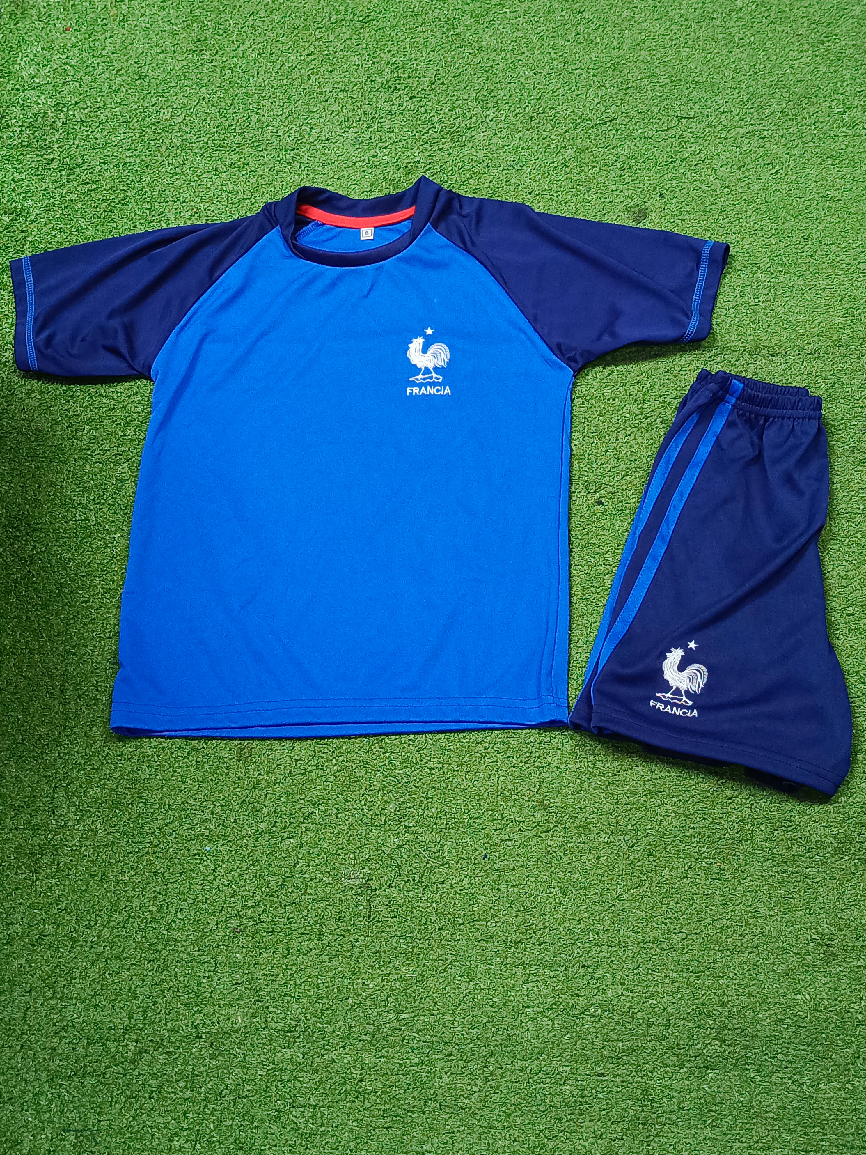 SELECCIÓN DE FRANCIA 