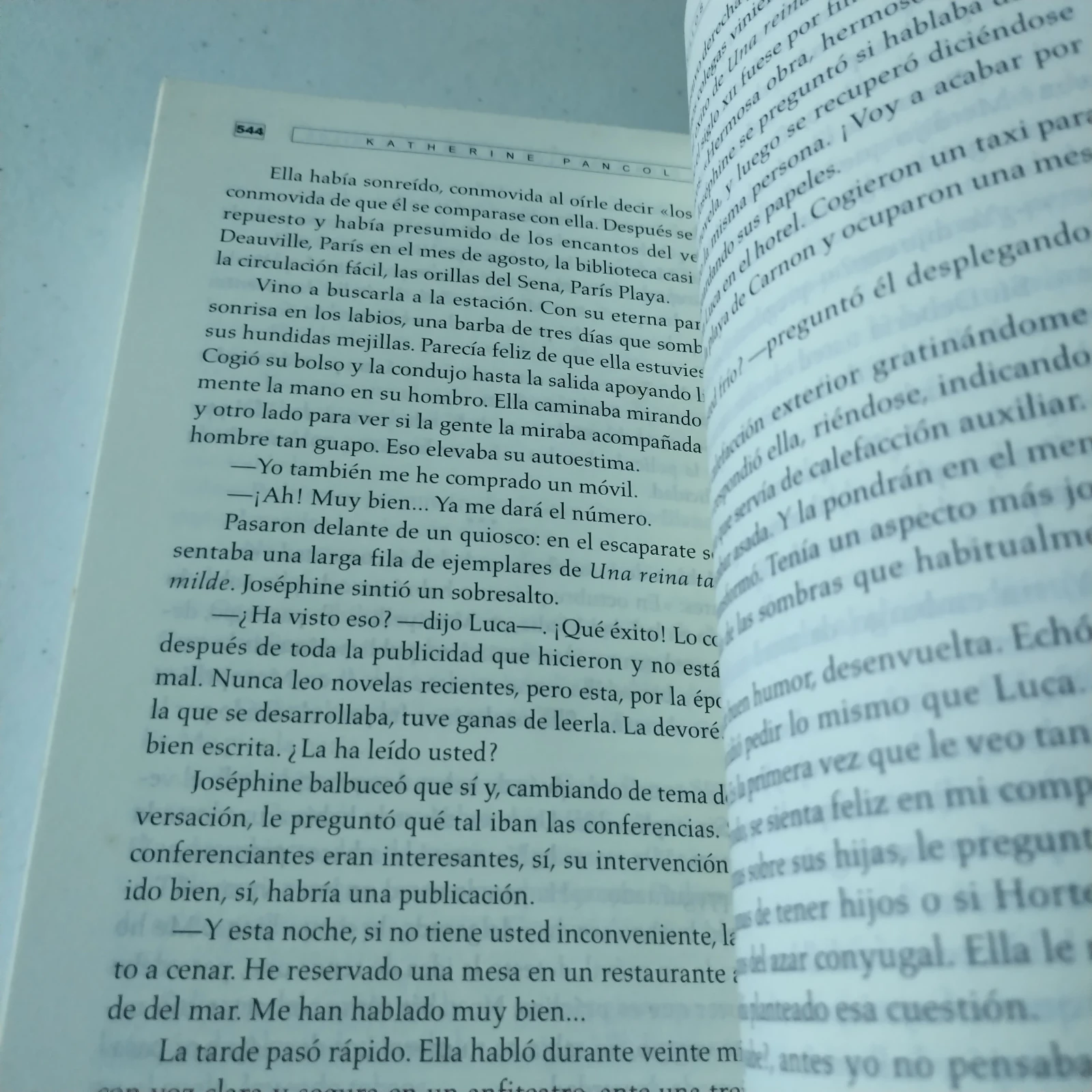 Los ojos amarillos de los cocodrilos, Katherine Pancol, usado 3