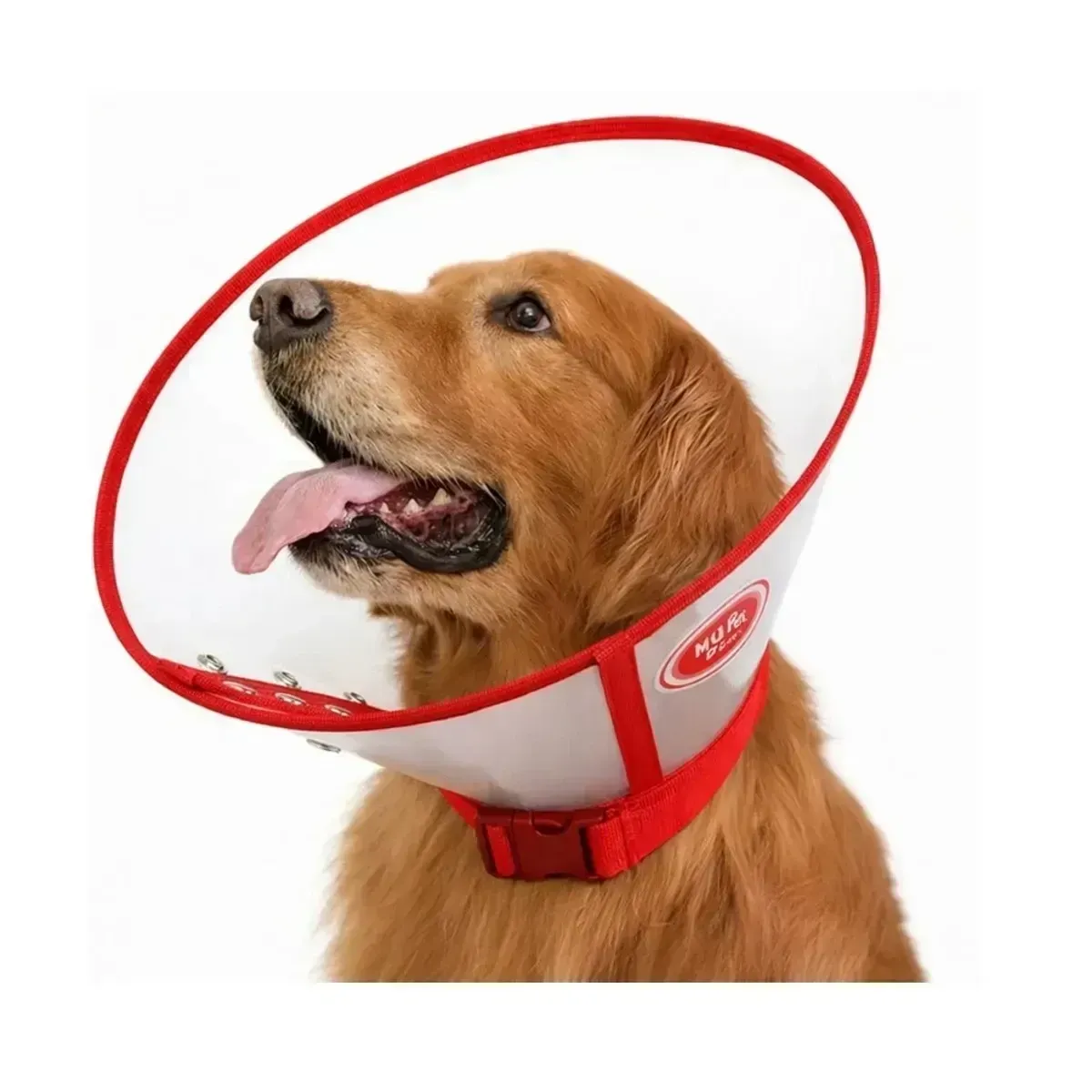 Collar Isabelino cónico de plástico durable rojo