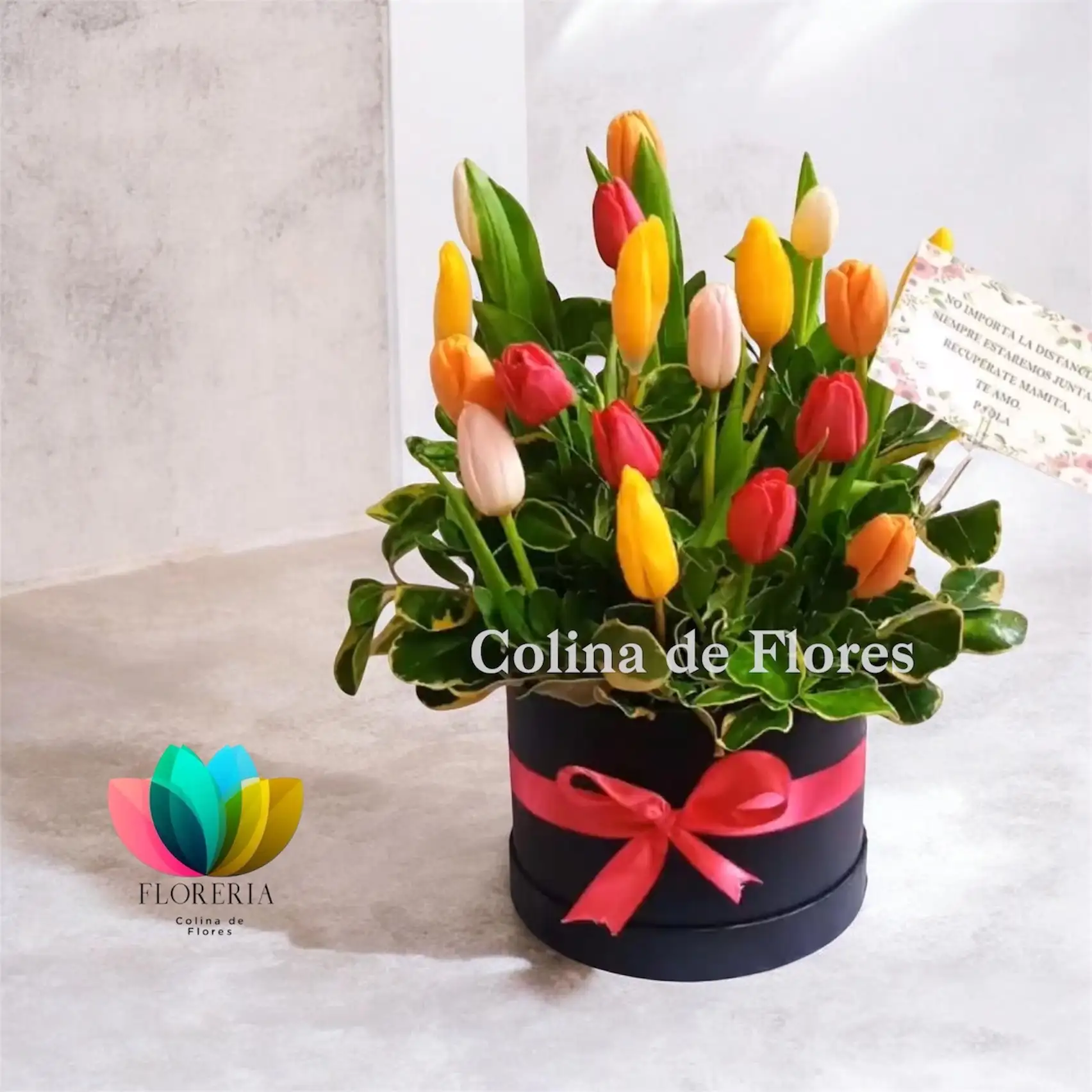 Box tulipanes 