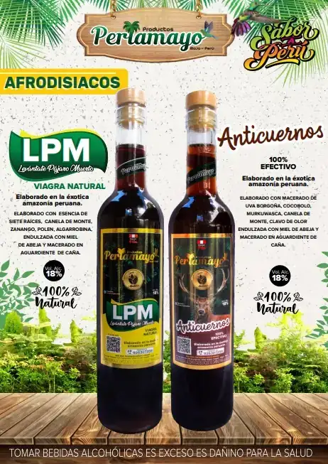 Levantate Pajaro Muerto