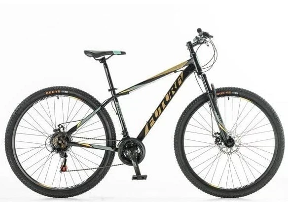 🚲 BICICLETA FUTURA ROD.29 ACERO 5300